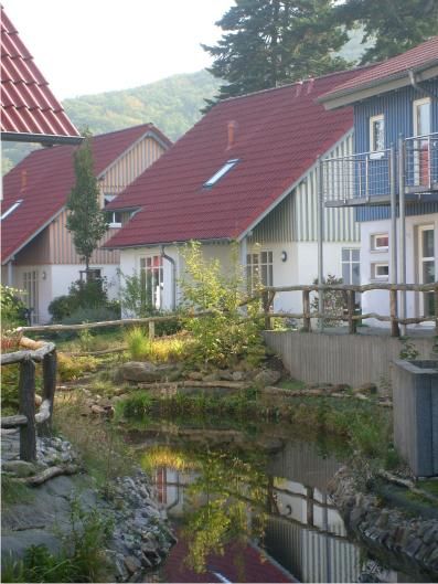 Mitschurin Galabau & Technik - Hasseröder Ferienpark