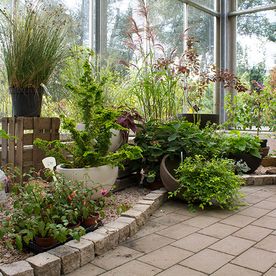 Mitschurin Galabau & Technik Blumenfachgeschäft