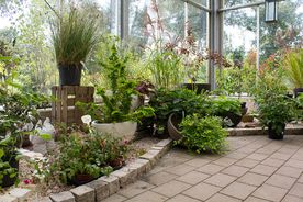 Mitschurin Galabau & Technik Blumenfachgeschäft