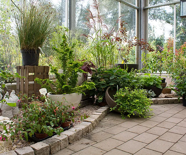 Mitschurin Galabau & Technik Blumenfachgeschäft