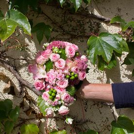 Mitschurin Galabau & Technik Blumenfachgeschäft