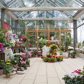 Mitschurin Galabau & Technik Blumenfachgeschäft