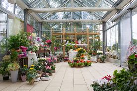 Mitschurin Galabau & Technik Blumenfachgeschäft