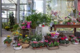 Mitschurin Galabau & Technik Blumenfachgeschäft