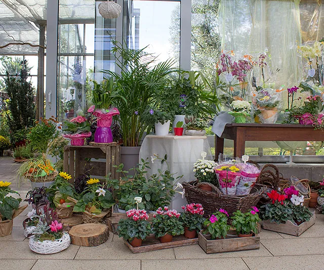 Mitschurin Galabau & Technik Blumenfachgeschäft