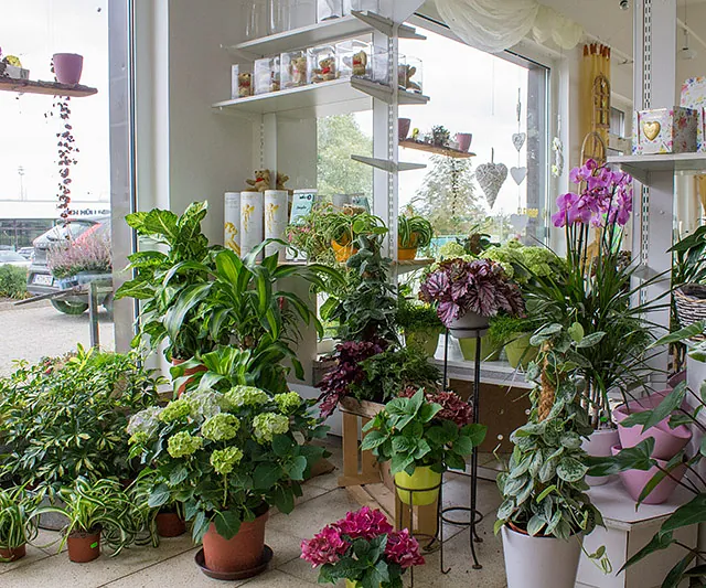 Mitschurin Galabau & Technik Blumenfachgeschäft